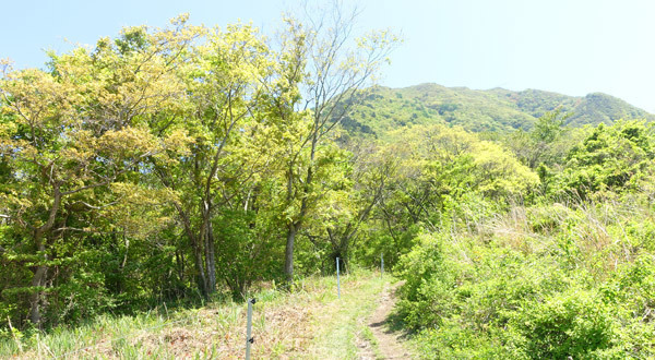 040505sanbe_02_03top.jpg