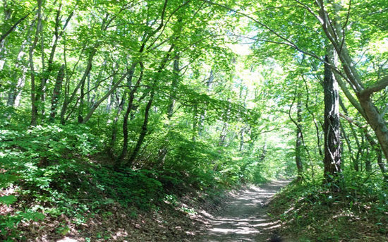 220524_02.jpg