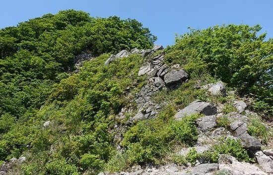 220524_13.jpg