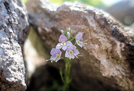 test_08_03.jpg